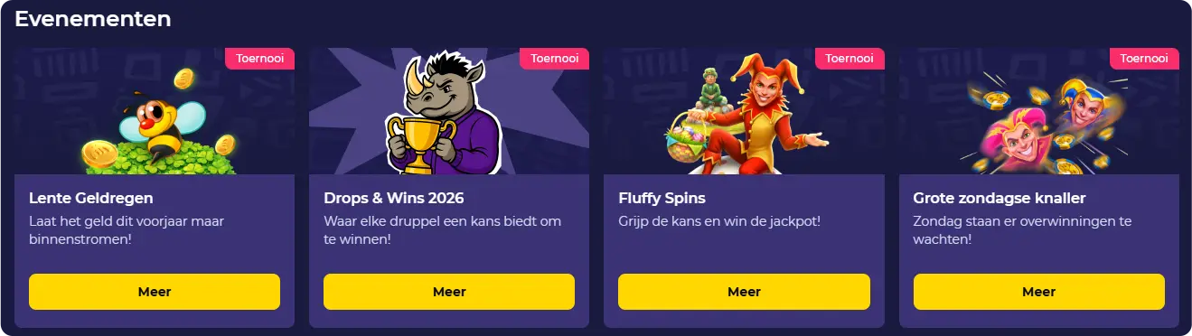 Spinorhino Evenementen